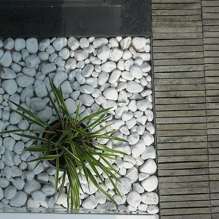 Отель Garden