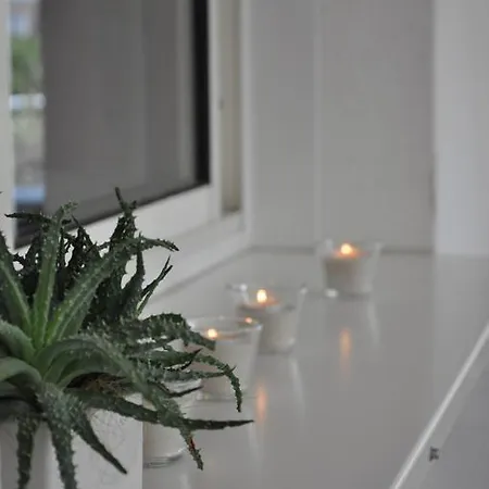Garden Отель